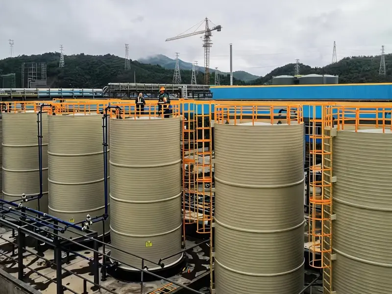 Cage ladder on industrial storage tanks
